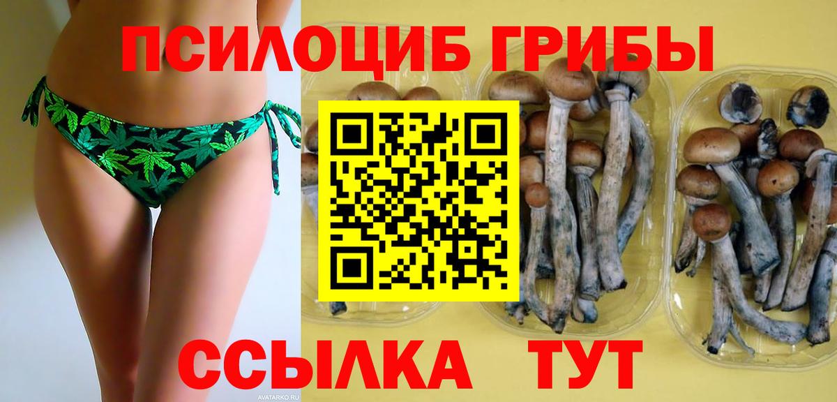 Галлюциногенные грибы ЛСД  Галлюциногенные грибы Psilocybine cubensis  Вход с VPN  Урай 